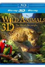 Watch Wild Animals - The Life of the Jungle 3D Primewire