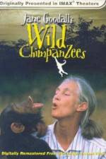 Watch Jane Goodall's Wild Chimpanzees Primewire