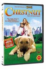 Watch Chestnut - Hero of Central Park Primewire