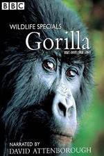 Watch Gorilla Revisited with David Attenborough Primewire