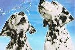 Watch 101 Dalmatians Sing Along Primewire