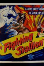 Watch The Fighting Stallion Primewire