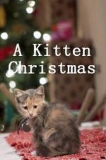 Watch A Kitten Christmas Primewire