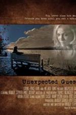 Watch Unexpected Guest Primewire