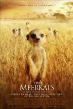 Watch The Meerkats Primewire