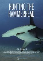 Watch Hunting the Hammerhead Primewire