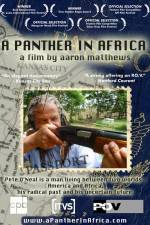 Watch A Panther in Africa Primewire