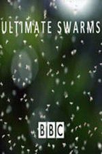 Watch Ultimate Swarms Primewire