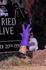 Watch WWF Buried Alive In Your House Primewire
