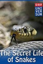 Watch The Secret Life of Snakes Primewire