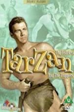 Watch Tarzan and the Trappers Primewire