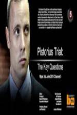 Watch Pistorius Trial: The Key Questions Primewire
