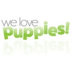Watch We Love Puppies Primewire