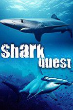 Watch Shark Quest Primewire