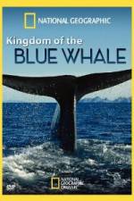 Watch National Geographic Kingdom of Blue Whale Primewire