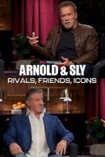 Watch Arnold & Sly: Rivals, Friends, Icons Primewire