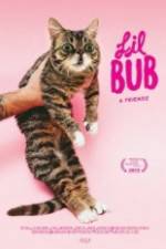 Watch Lil Bub & Friendz Primewire