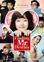 Watch Finding Mr. Destiny Primewire