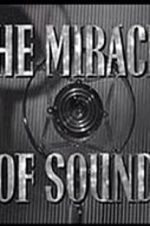 Watch The Miracle of Sound Primewire