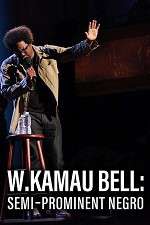 Watch W. Kamau Bell: Semi-Promenint Negro Primewire