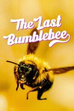 Watch The Last Bumblebee Primewire