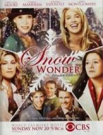 Watch Snow Wonder Primewire