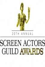 Watch The 20th Annual Screen Actors Guild Awards Primewire