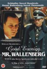 Watch Good Evening, Mr. Wallenberg Primewire