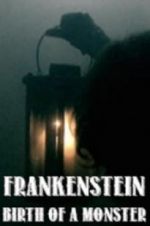 Watch Frankenstein: Birth of a Monster Primewire