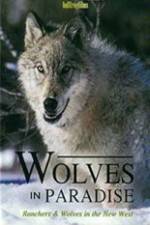 Watch Wolves in Paradise Primewire