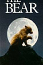 Watch The Bear - (L'ours) Primewire