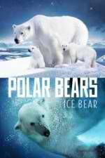 Watch Polar Bears Ice Bear Primewire