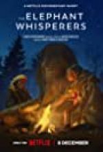 Watch The Elephant Whisperers Primewire