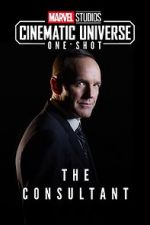 Watch Marvel One-Shot: The Consultant Primewire