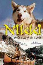 Watch Nikki Wild Dog of the North Primewire