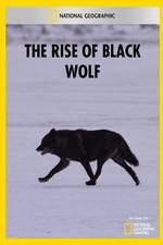 Watch The Rise of Black Wolf Primewire