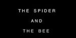 Watch The Spider and the Bee Primewire
