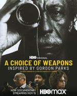 Watch A Choice of Weapons: Inspired by Gordon Parks Primewire