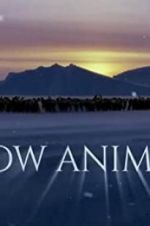 Watch Snow Animals Primewire