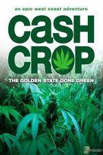 Watch Cash Crop Primewire