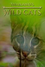 Watch Thailand's Wild Cats Primewire