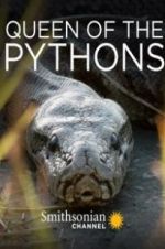 Watch Queen of the Pythons Primewire