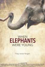 Watch When Elephants Were Young Primewire