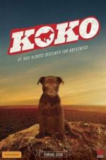 Watch Koko: A Red Dog Story Primewire