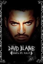 Watch David Blaine: Real or Magic Primewire