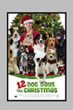 Watch 12 Dog Days Till Christmas Primewire