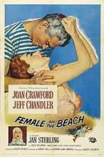 Watch Female on the Beach Primewire
