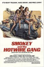Watch Smokey and the Hotwire Gang Primewire