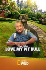 Watch Cesar Millan: Love My Pit Bull Primewire