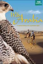 Watch Wild Arabia Primewire